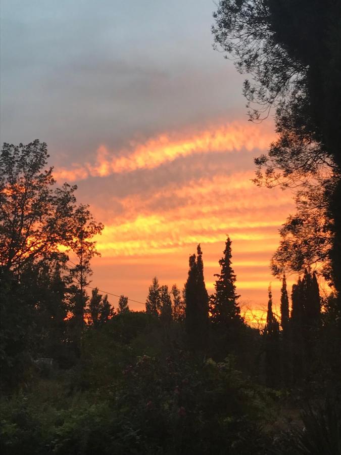 Le Mas Petit Thuir Exteriér fotografie