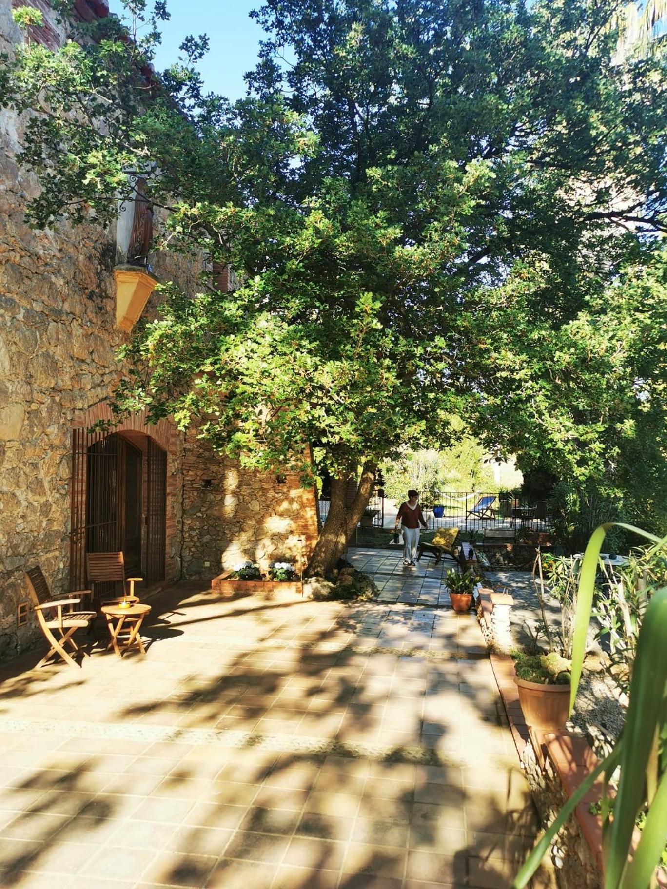 Le Mas Petit Thuir Exteriér fotografie
